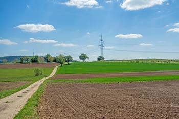 A hectare of land - photo